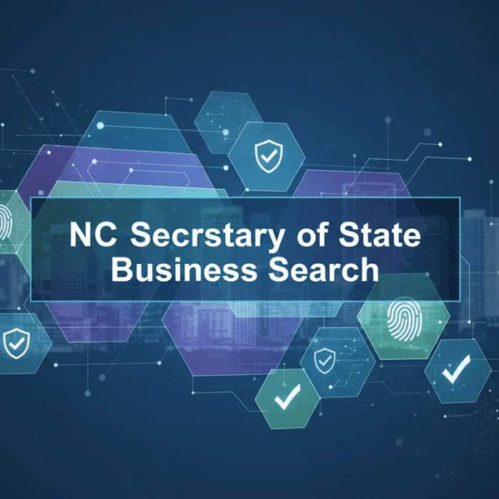 NC Secretary of State Business Search Explained