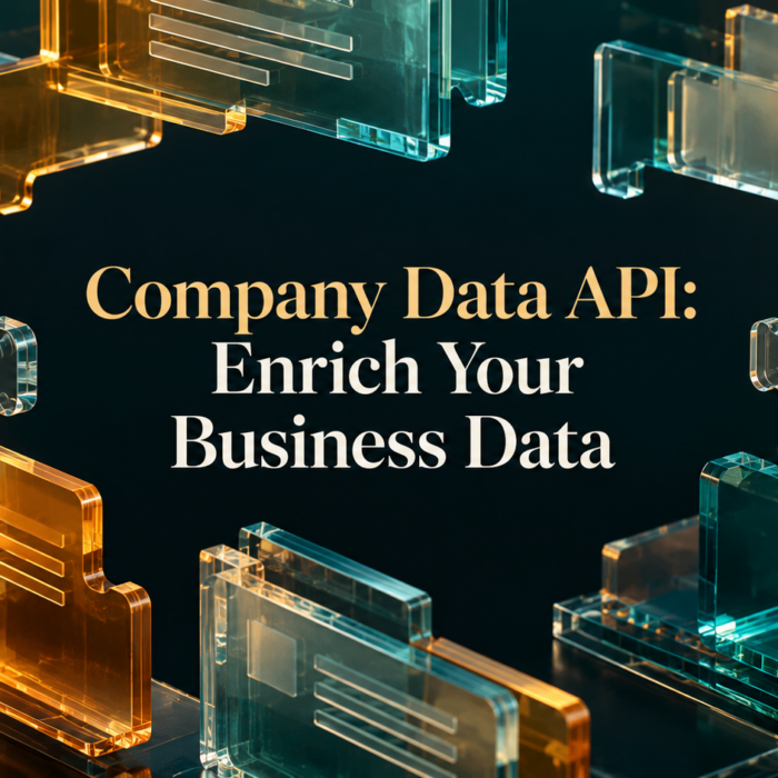 Company Data API: Enrich Your Business Data — interlocking glass records